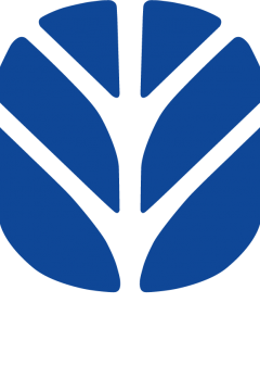 New Holland Kabin Camları